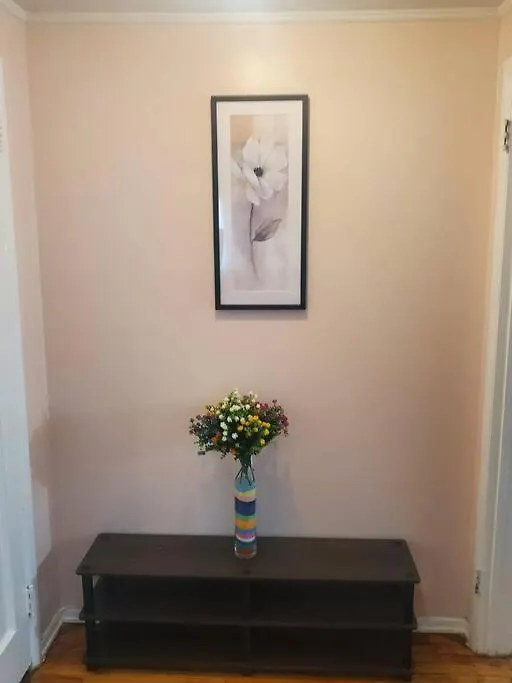 Stay With Ayana In St Albans New York